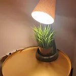 Piata Amzei Frühstückspension 3*