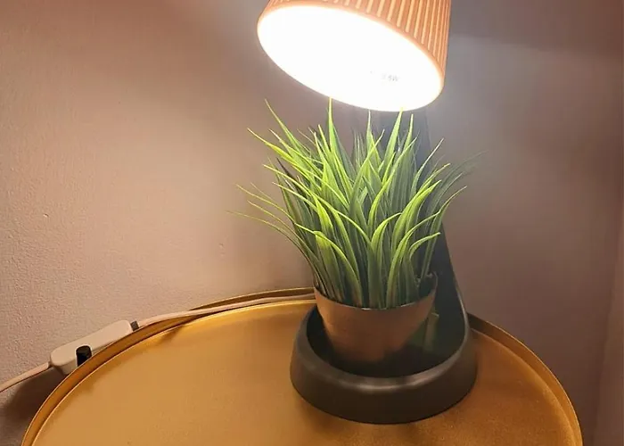 Piata Amzei Couette-café 3*